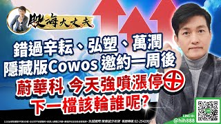 錯過辛耘、弘塑、萬潤  隱藏版Cowos 邀約一周後 蔚華科 今天強噴漲停 下一檔該輪誰呢?｜20230614｜陳建誠 分析師｜股海大丈夫
