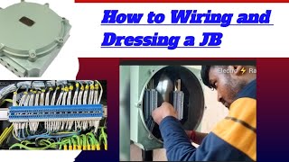 How 😱to Dressing and wiring a flameprof Industrial Junction box #electical #electrician #video