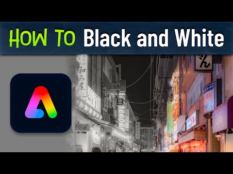 How To Make an Image Black and White in Adobe Express (Free & Easy!)