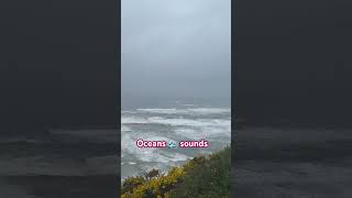 Oceanwaves #oceansounds #oceanwaves #ocean #viralvideo #vibes #sound #views #nature #love #emotional