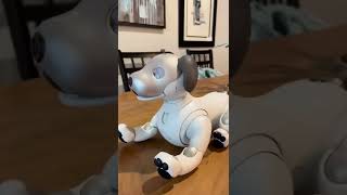 Will your advanced Ai Robot Dog fall off of a table @noelle_casper #Shorts