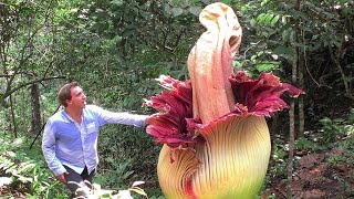 15 ALIEN-Looking Plants That Actually Exist on Earth!
