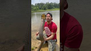 KING COBRA Kisses At The Lake!