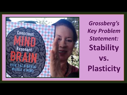 Unboxing Grossberg’s “Conscious Mind, Resonant Brain” Book