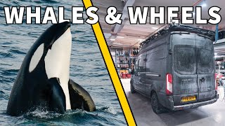 Orca Encounters & Winter Road Prep in Tromsø | Arctic Vanlife