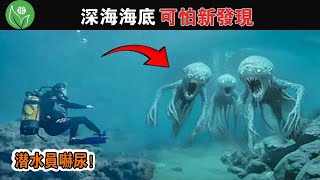 太平洋海底發現的神秘離奇生物，海洋學家至今不寒而慄！深海中15個最可怕的新發現，可能會嚇到你【探索旅行號】#冷知識 #排名 #世界最top#地球之最#top10#世界之最top#海洋生物