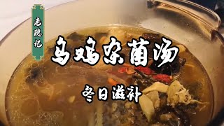 超滋補烏雞雜菌養生湯，做法簡單營養價值高，冬日暖身必備|老隐记
