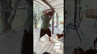 Squirrel attacks man and his dog 😂 #squirrel #attack #funny #reconizable #wth #hiphop #beef