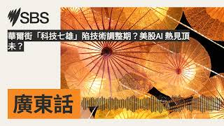 華爾街「科技七雄」陷技術調整期？美股AI 熱見頂未？ | SBS Cantonese - SBS廣東話節目