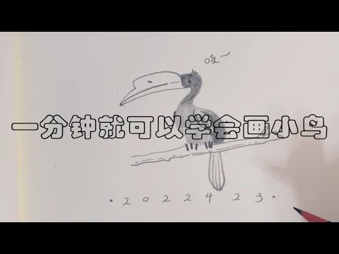 21速写｜铅笔手绘｜画小鸟原来如此简单