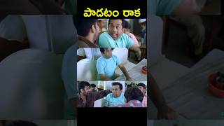 😅 Story Behind Bramhanandham Song in Venky Movie | cinema updates