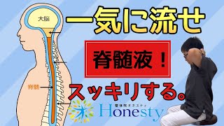 一気に流せ！脳脊髄液。神経の通りが良くなり疲労回復してスッキリする。【大和市の個別対応整体院オネスティ】