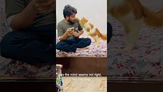 billu bahut😂🤣😂😂 #catcomedy #cat #catvideo #viralcat
