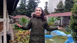 Arapça'ya giriş