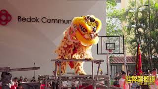 新加坡劲安龙狮体育协会A队 Singapore Jin Ann Sports Association Team A