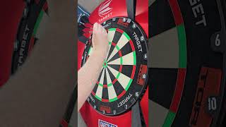 Michael Van Gerwen evoX. 1 minute dart review