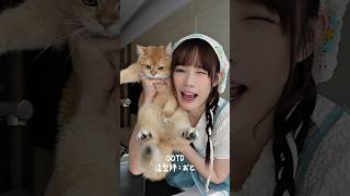 當我的造型師是貓咪！おと幫我搭配大家給幾分？^ ̳- ‧̫ • ̳^ฅ