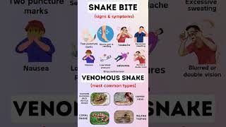 "Can You Survive This Bite? Snakebite Symptoms You Must Recognize!"
