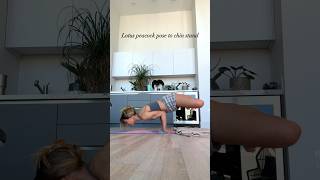 Yoga Pose Transition: Lotus Peacock Pose to Chin Stand #yoga #yogapose #flexibility #fitness