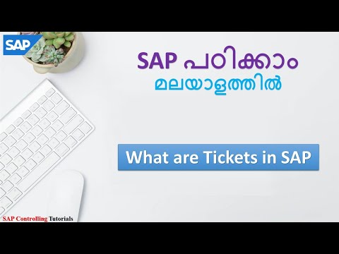What are Tickets in SAP | Errors in SAP