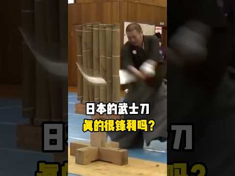 日本的武士刀真的很锋利吗？ #武士刀 #科普 #日本 #全球看点