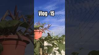 Another day of my life 🌸 || Minivlog- 15 ✨|| #day15 #minivlogs #views #rainy #season #nature #sky