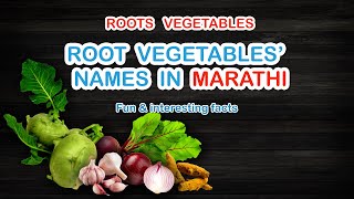Roots Vegetables English to Marathi | कंदमुळं भाज्यांची ओळख | Educational Videos