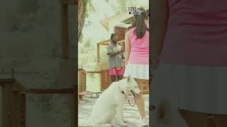 Dog Attacks And Corrects A Dominant Husky