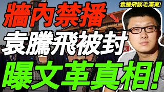 【墙内禁播】袁腾飞全网封杀！曝毛泽东发动文革真相，内容极其大胆劲爆！每一句都相当震撼！