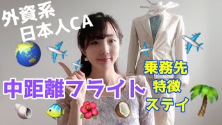 [外資系CA/客室乗務員] 中距離フライトってどんな感じ？🌏🌴🥥🌺