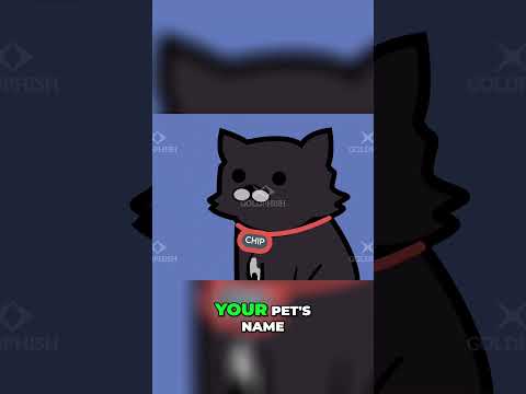 Beware of Cyber Scammers