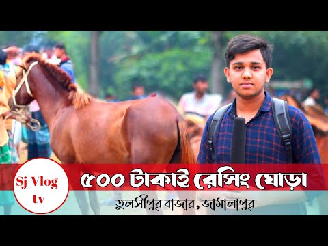 বাংলাদেশের  ঐতিহ্যবাহী জামালপুরের তুলসীপুর  ঘোড়ার হাঁট || best horse market in bangladeshআজব কান্ড||