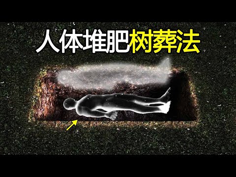 国外发明人体堆肥树葬法，比火葬土葬还要环保，真正做到回归大自然！