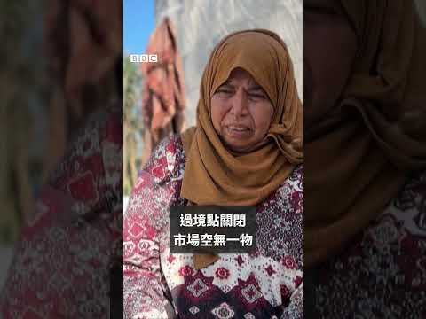 加沙民眾饑荒危機 食用瀕危海龜－ BBC News 中文