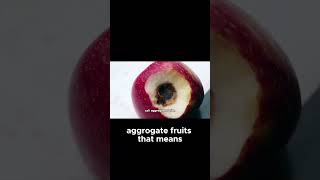 Did you know Bananas are  berries but strawberries aren’t! #shorts #funscience #learnonyoutube #fact