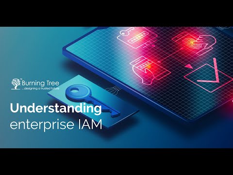 Enterprise IAM | Burning Tree Cyber Security