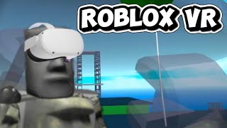 Playing Roblox Natural disaster survival in VR