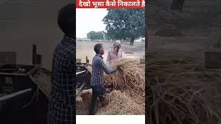 भूसा कैसे निकालते है #shortviral # bhusa shorts #shortfeed
