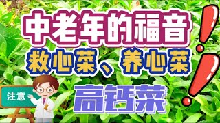 救心菜、养心菜、高钙菜你知道是什么吗？