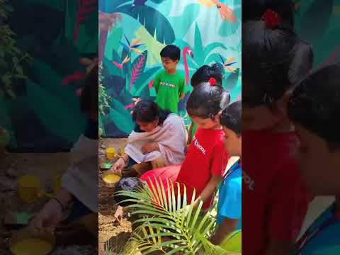 Fun Seed Germination Activity for Preschool Kids! 🌱