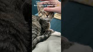 A little you time ❤️ #cat #therapy #helpforyou