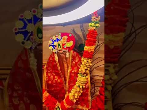 Goga Maharaj Status #jaygoga #maharaj #bhaguda #ahmedabad