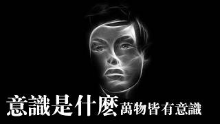 意識是什麽？萬物皆有意識？