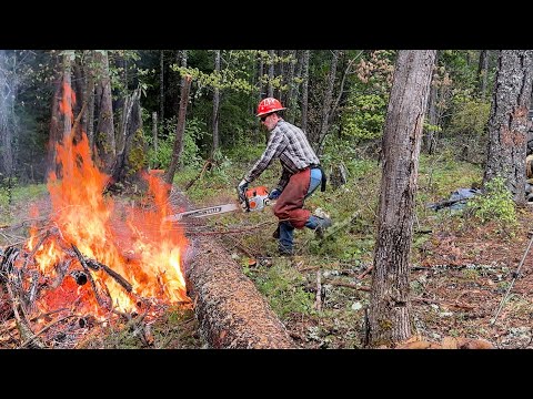 That's How Forest Fires Get Started
