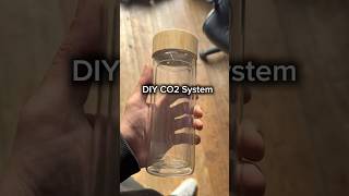 Easiest DIY CO2 system for your planted tank!