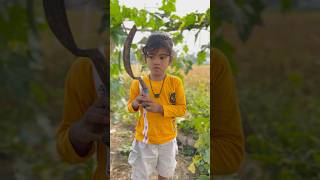 😇Laal pila juju🤣🤣🤣#super star lalli dada#shortfeed #funny #trending #comedy #viralshort