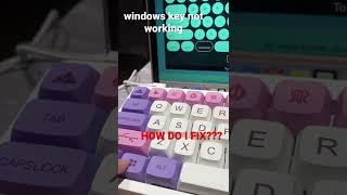 windows key not working