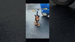 Just Some Memes #funny #lmaomemes #funnymemes #foryou #memes #lmao