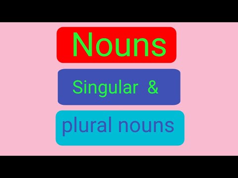 Let's Practice Singular and Plural Nouns