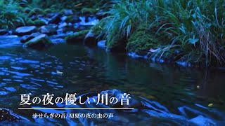 Gentle River Sounds on a Summer Night｜Stream, Insects, Fireflies